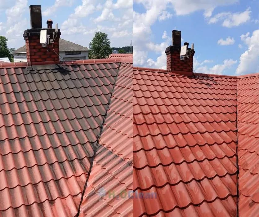 643875902 34051687434476751 1197426754226720114 n